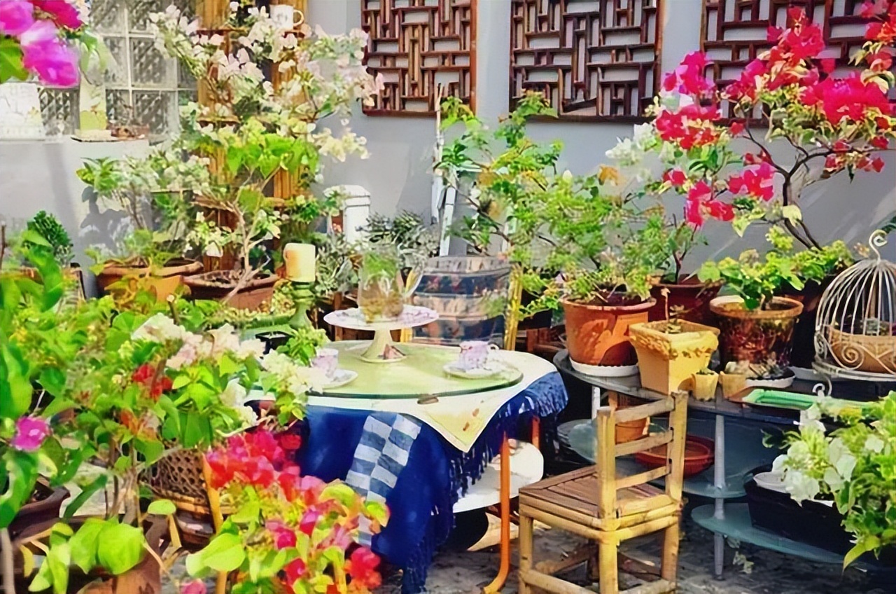 养花有小蚊虫用什么办法可以消灭,家里养花驱蚊虫小妙招