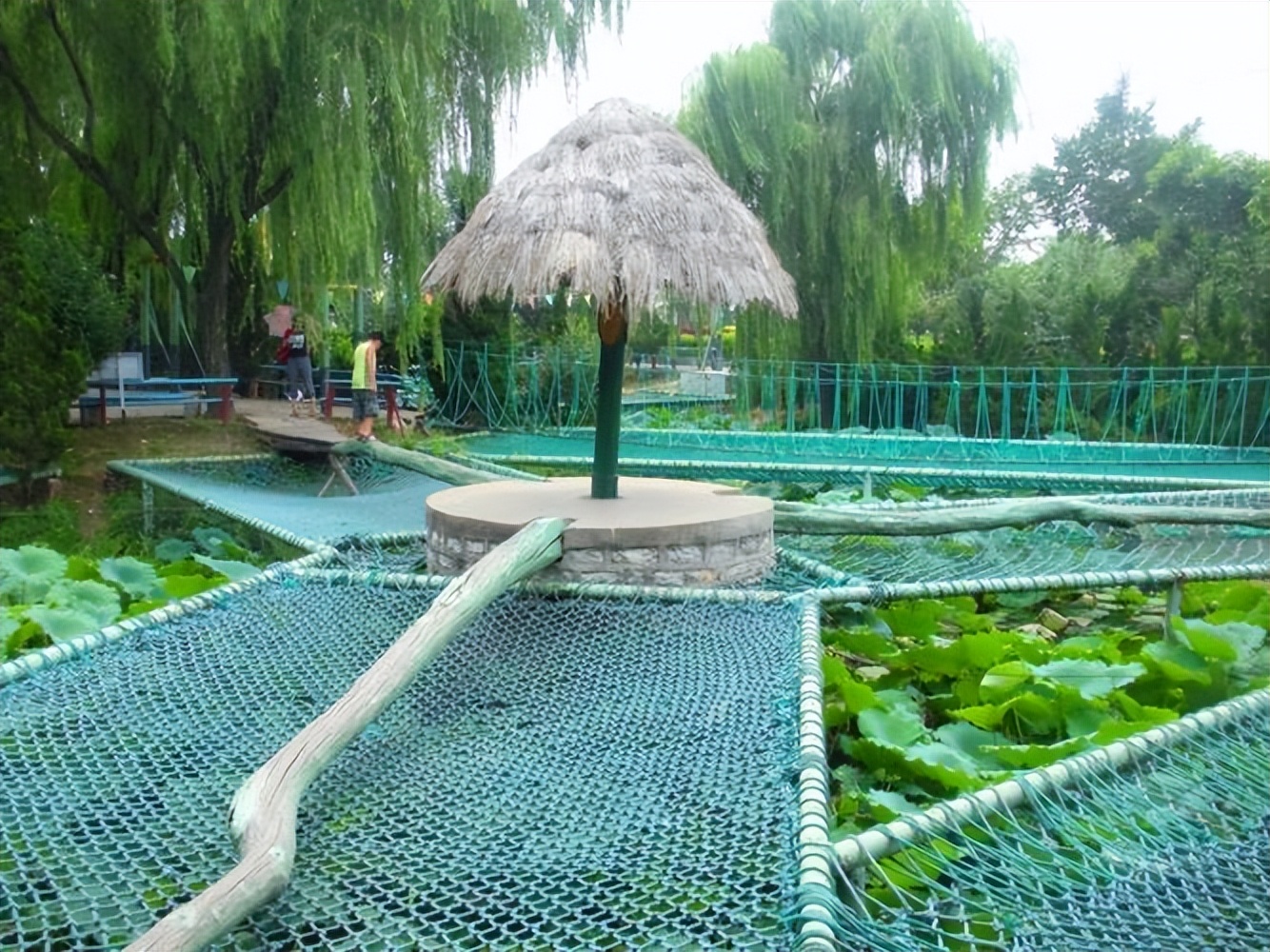 潍坊户外拓展训练哪里有,潍坊户外拓展策划