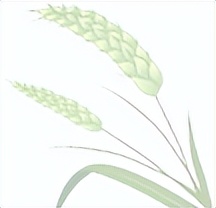 四年级人物性格特点描写,部编版四年级下册语文人物的特点