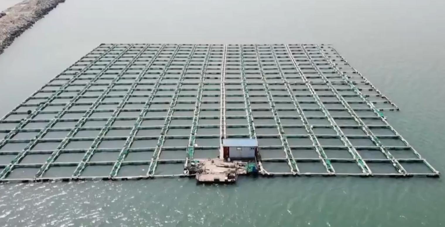 破烂王致富改行,破烂王用了17年成为亿万富豪