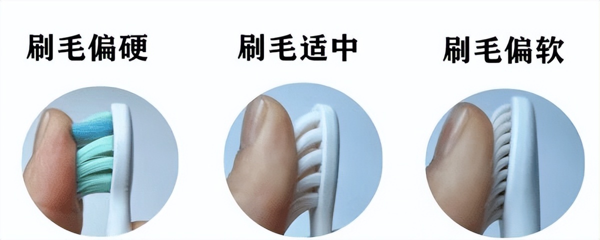 罗曼电动牙刷是哪个国家的品牌,十大电动牙刷品牌排行榜2021