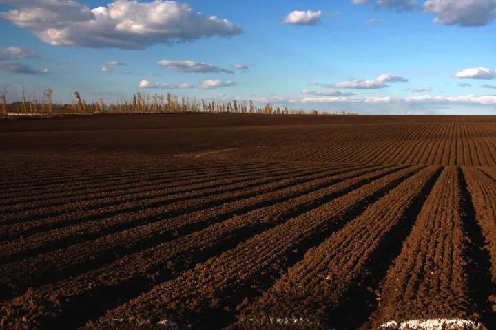 给新生儿取一个幸运的名字,给新生儿取什么名字好