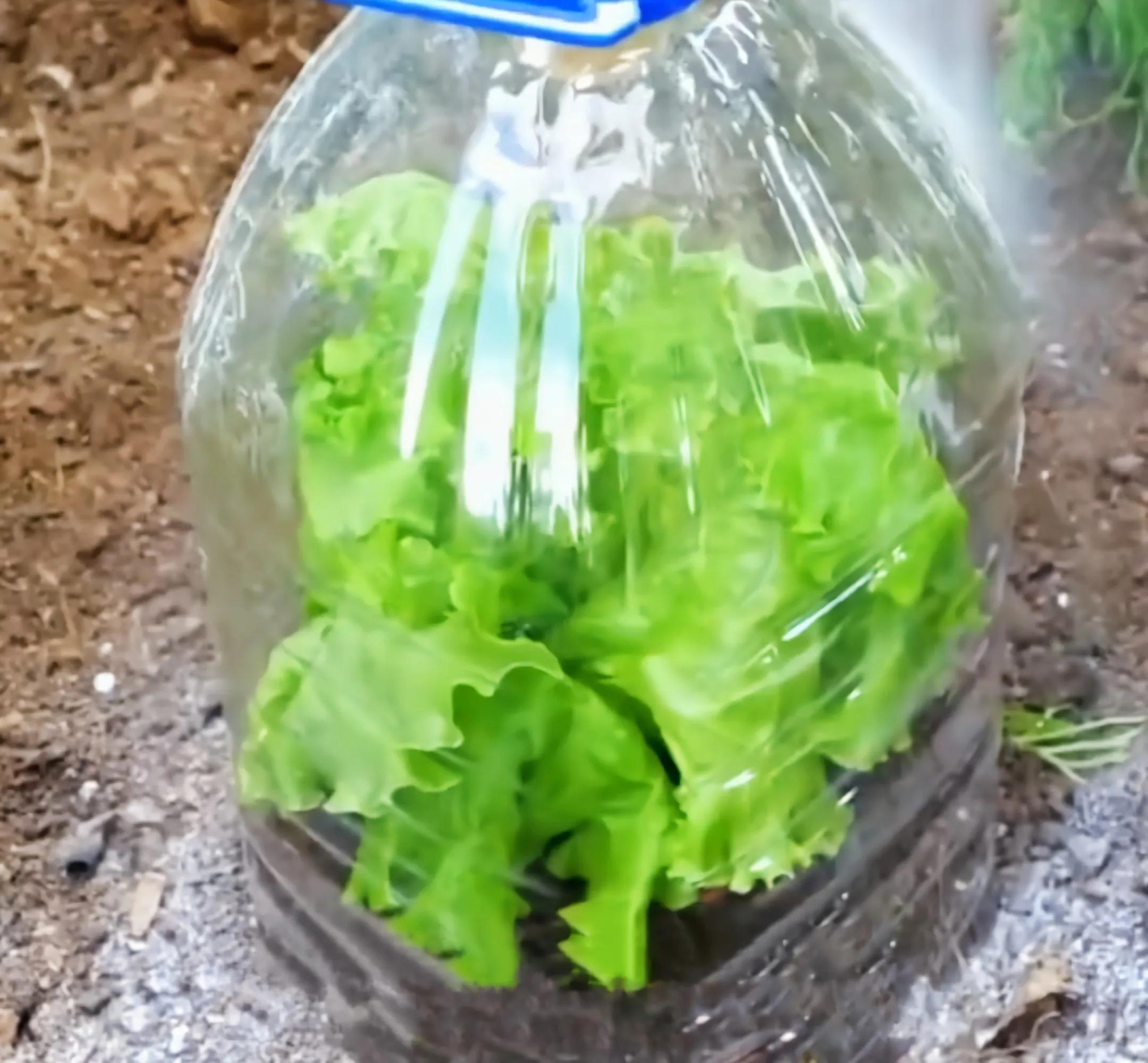 分享一个生活小妙招给大家,分享实用生活小妙招