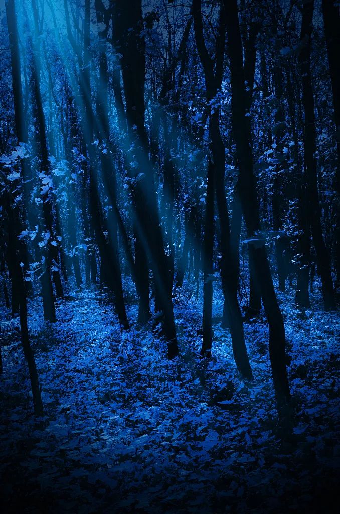 那些一眼就惊艳到你的诗词,50句意境超美的诗词