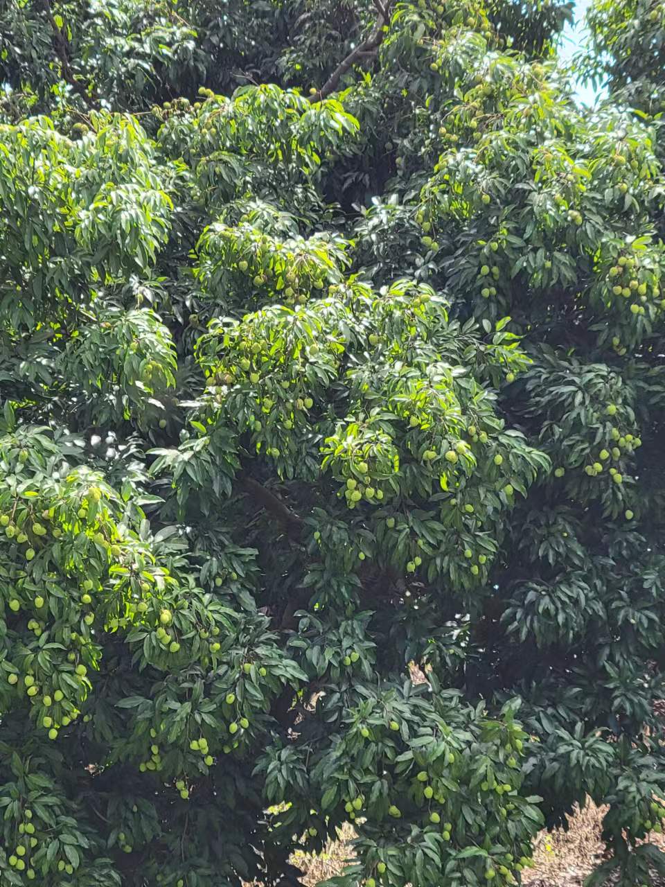 周末邀朋友小聚休闲享受周末,周末三五好友小聚喝茶品美味