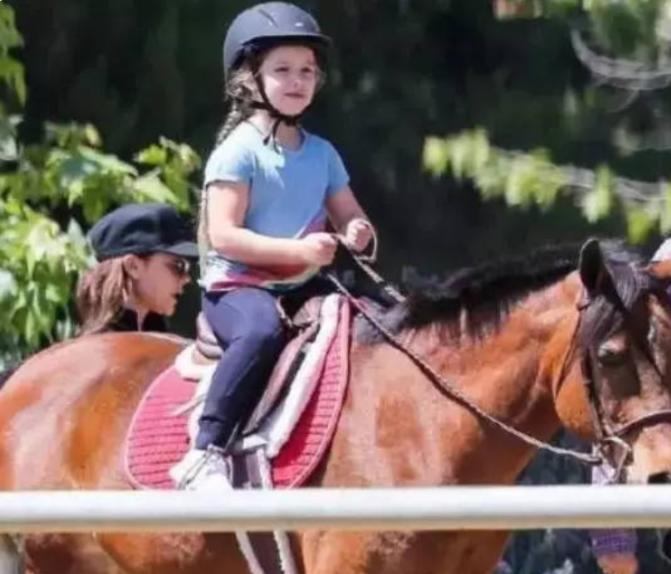 贝小七变成小才女,最会投胎的小公主