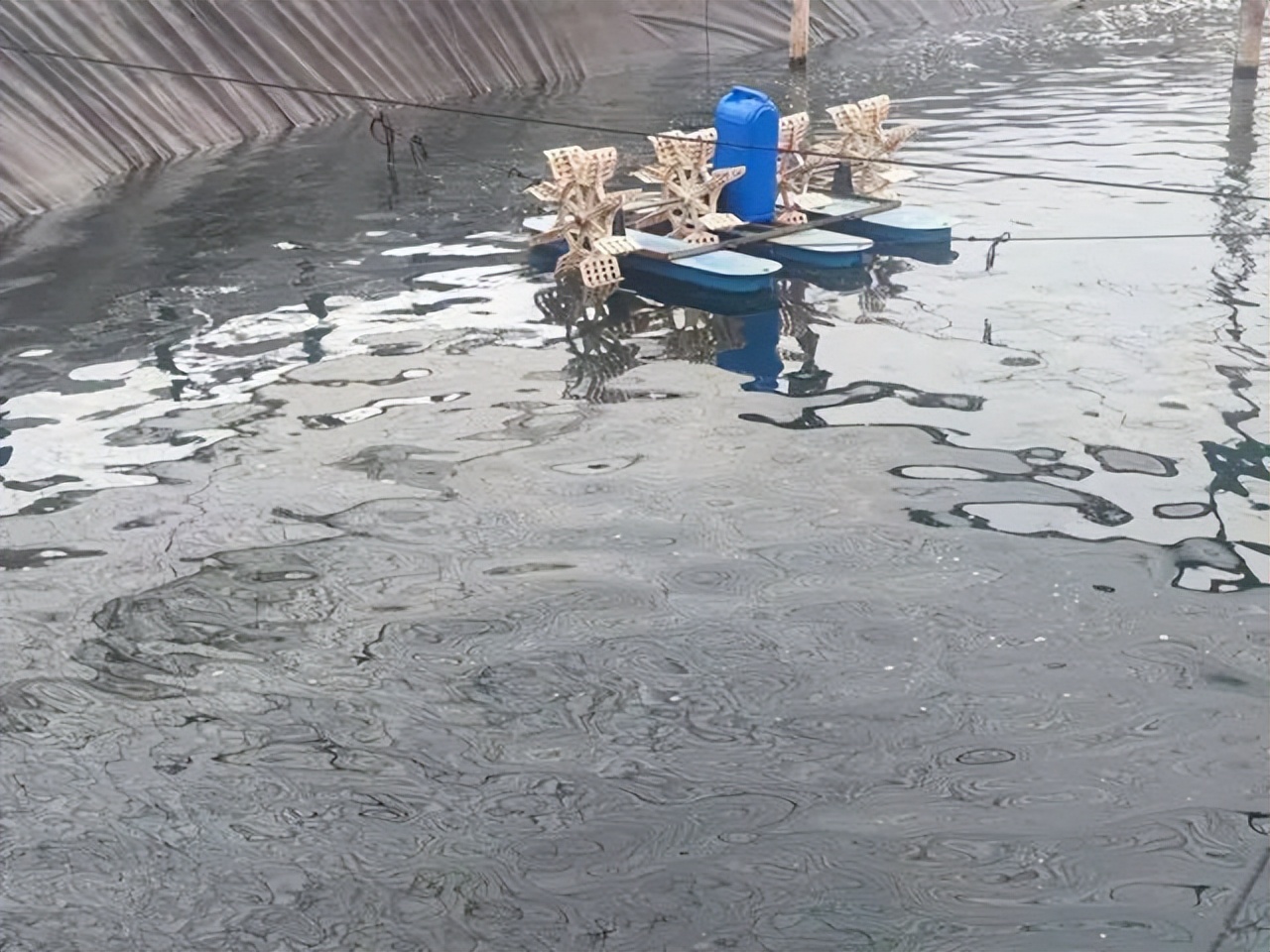 红水、绿水、浓水？高温期稳水就用粤彩乐