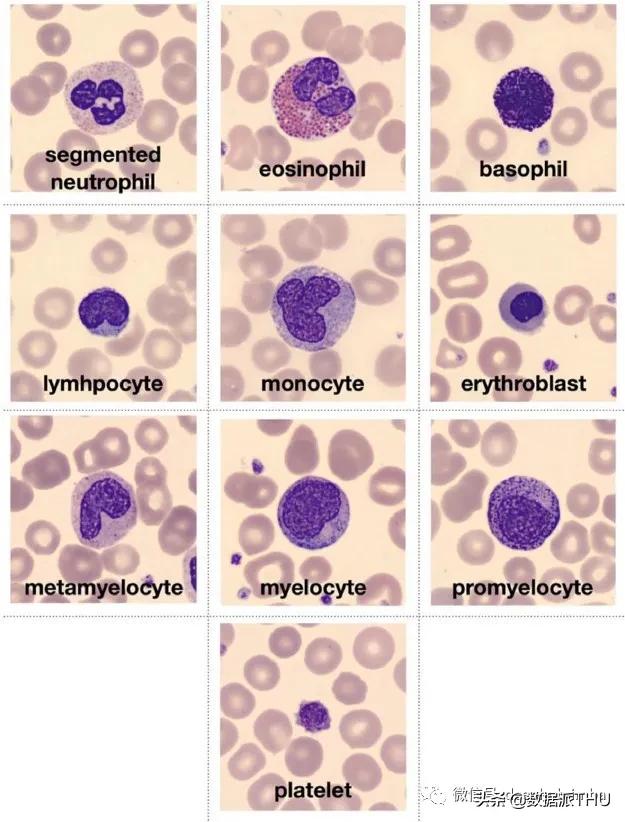 特殊图像的色彩特征工程:非自然图像的颜色编码