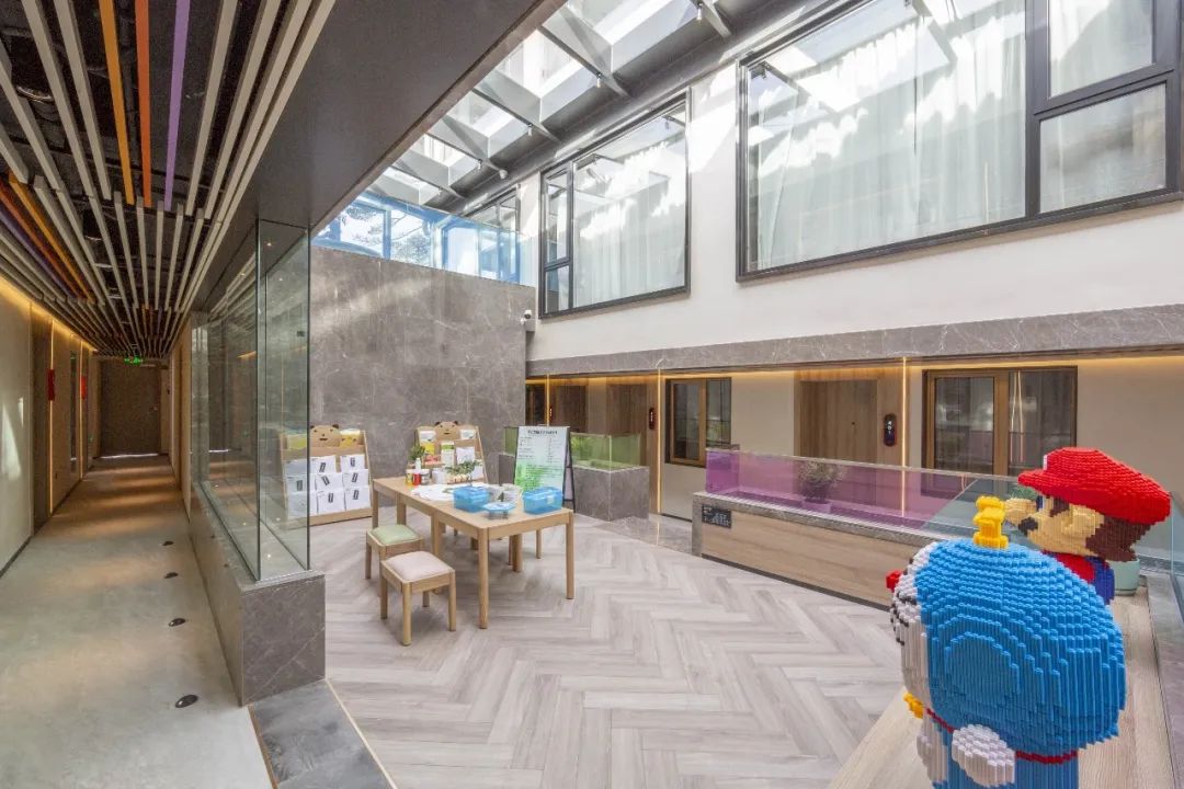 安徽人游安徽,安徽人游中国