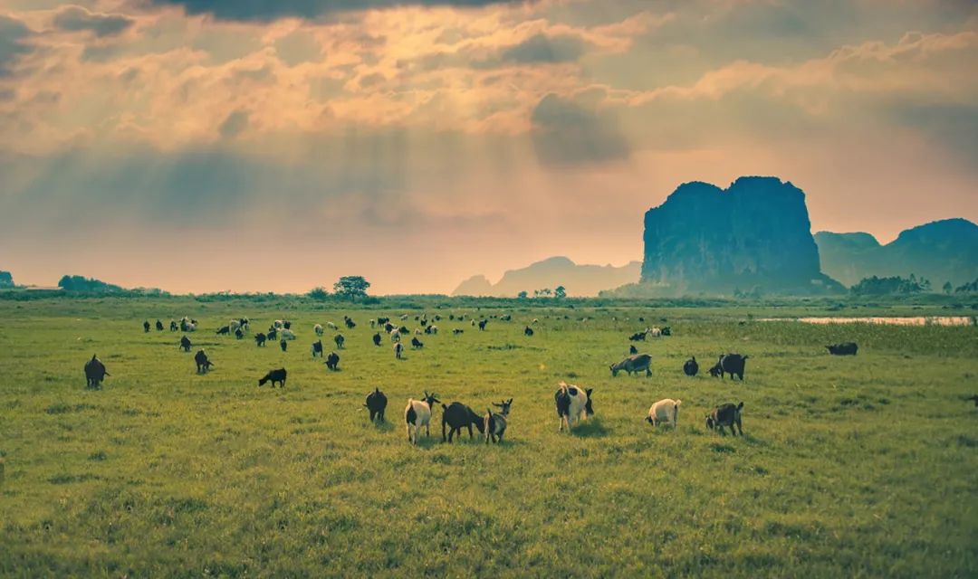 南宁徐霞客出游攻略,徐霞客在广西住了多少年
