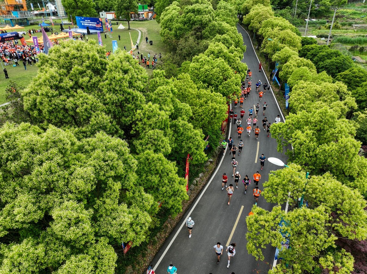 狮子巨蟹处女座运势,狮子座4月24日星座运势