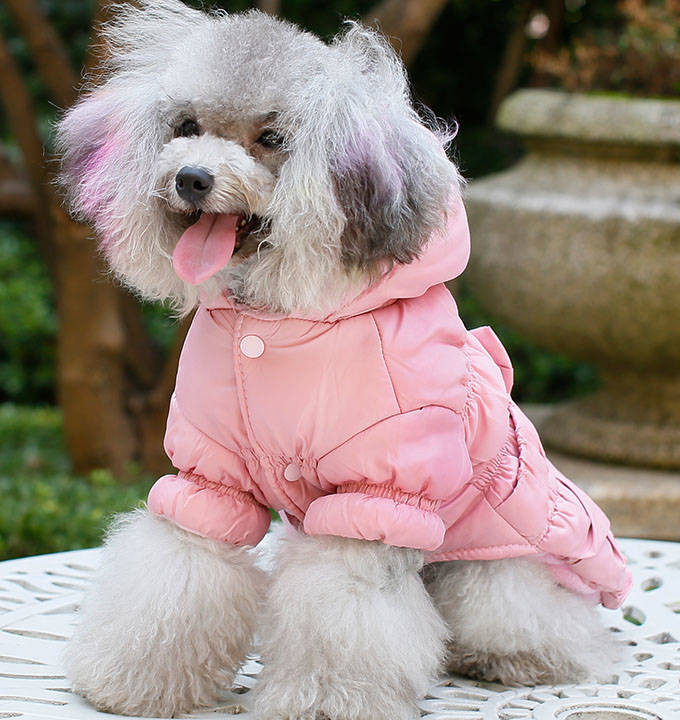 如何用旧衣服改造成小狗的衣服,怎样用一个旧衣服给小狗做衣服