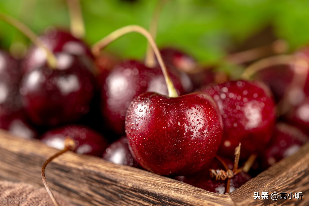 车厘子和樱桃的区别哪个贵一些,为什么车厘子价格比樱桃贵很多