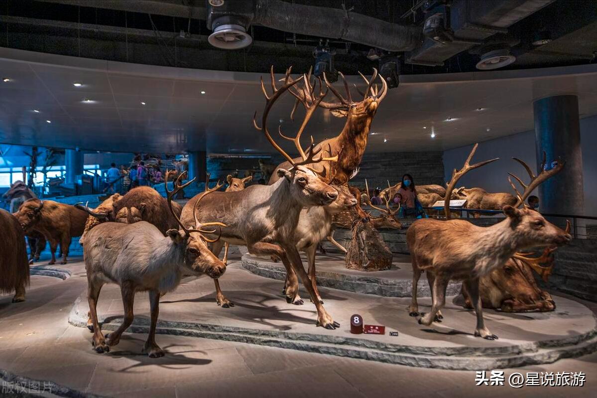 上海5a级景点排名榜名单公布,上海周边有山的5a景区