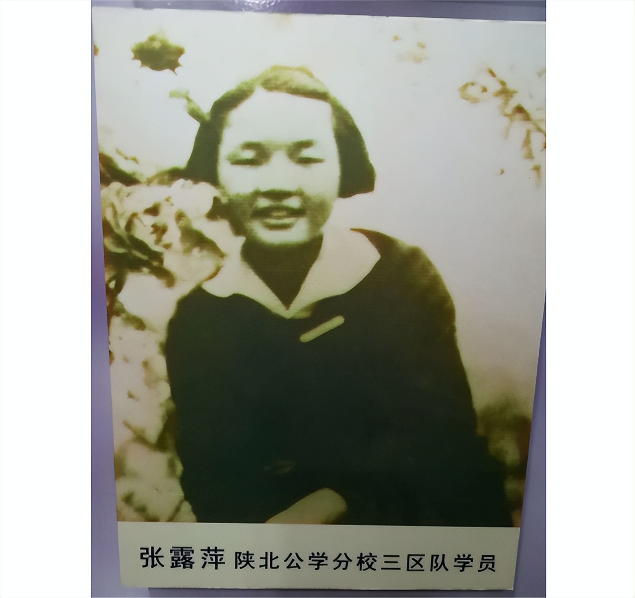 张露萍潜伏戴笠身边,档案潜伏在戴笠身边的张露萍