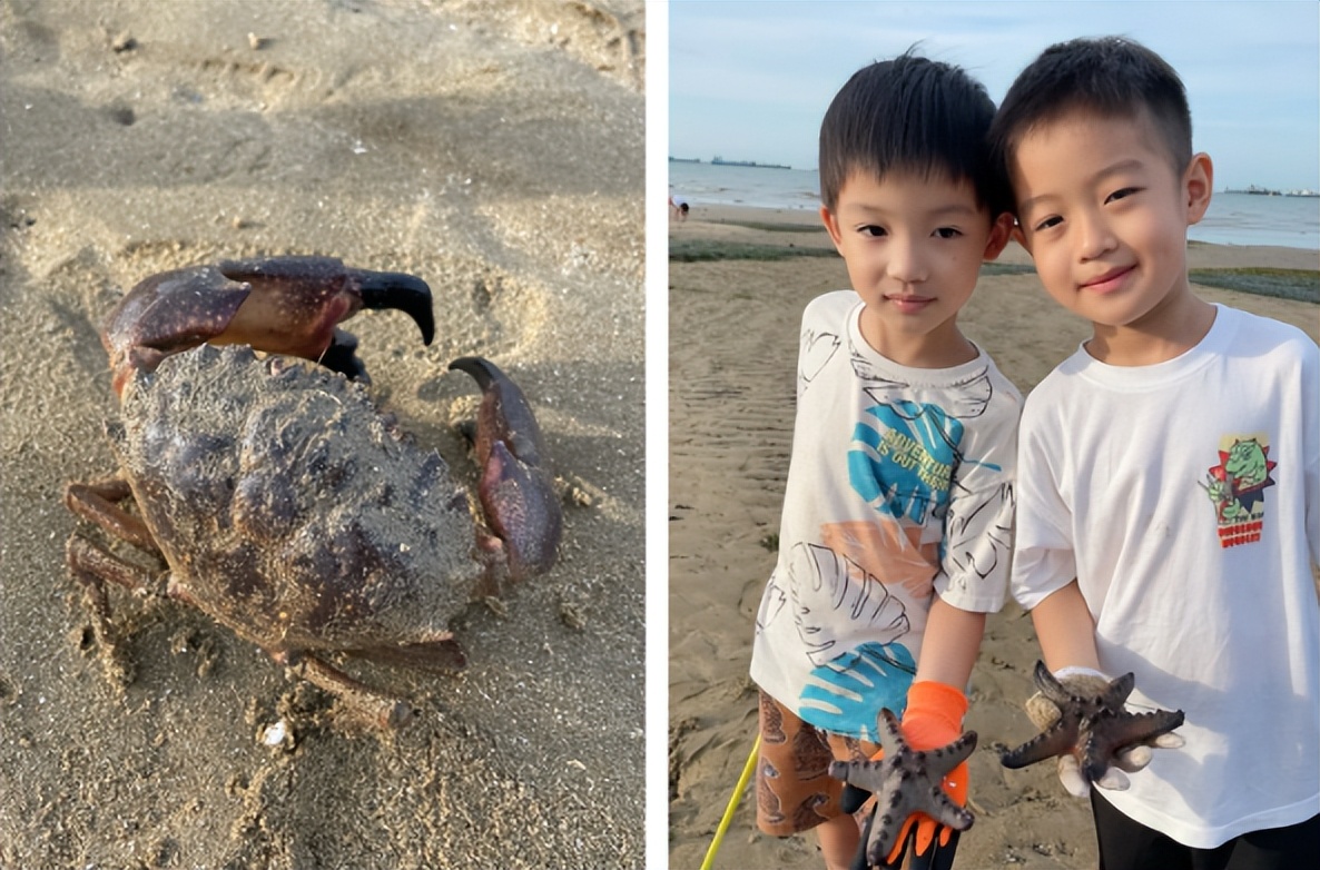 赶海被海胆刺到,赶海被海葵蜇伤