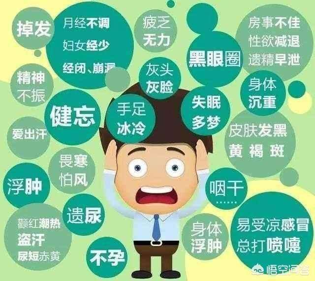 补肝肾阴虚脾虚的中药,肝脾虚弱湿气重肾虚调理中药方