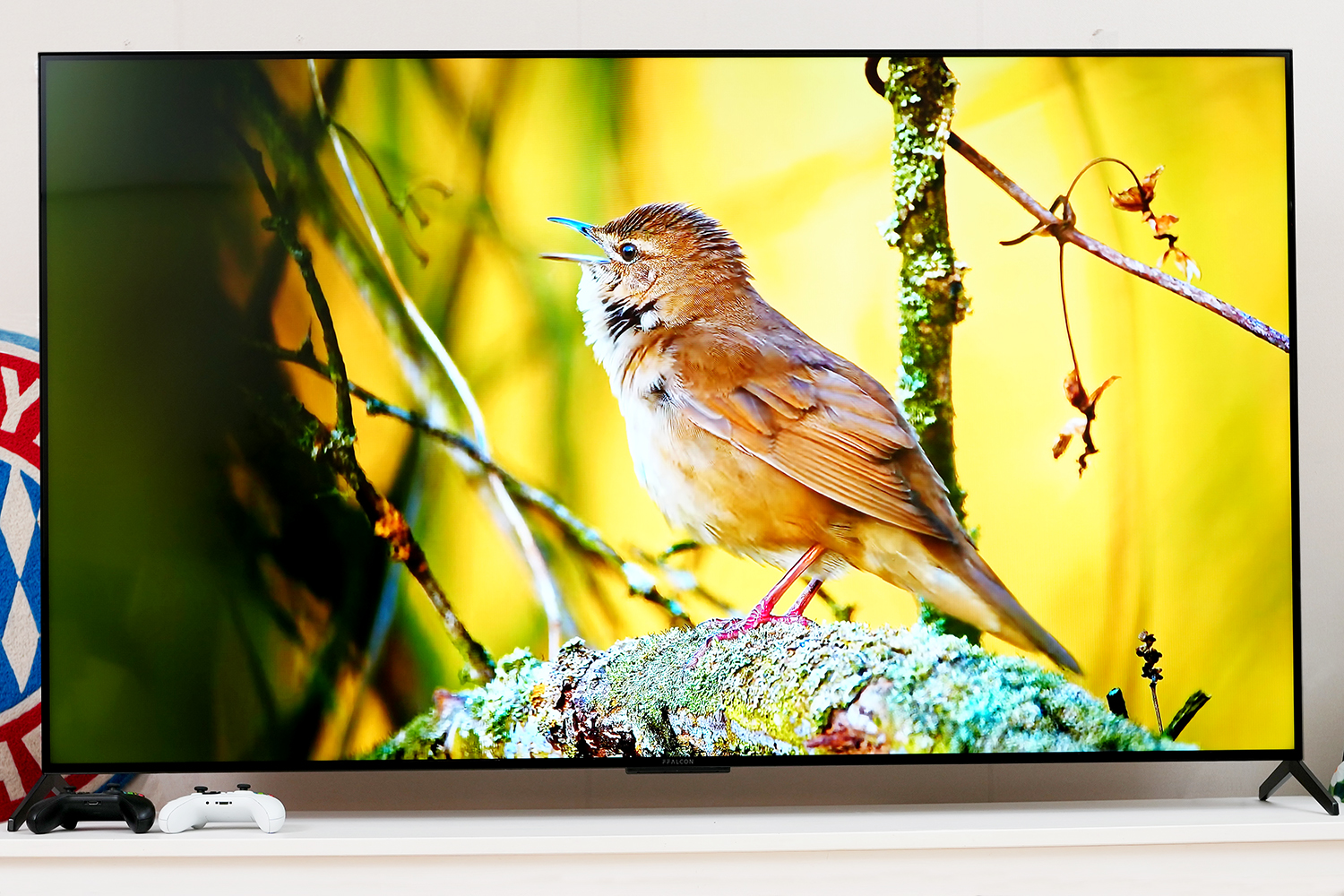 雷鸟鹤7pro24款真实评测,雷鸟鹤7pro24款深度评测