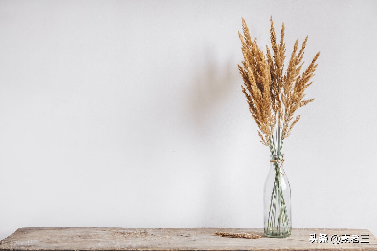 女作家去做保姆517,女作家去做保姆最新篇文章