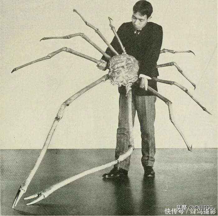 四十四个世界上最巨大的物体 (世界上最奇葩的巨型物体)