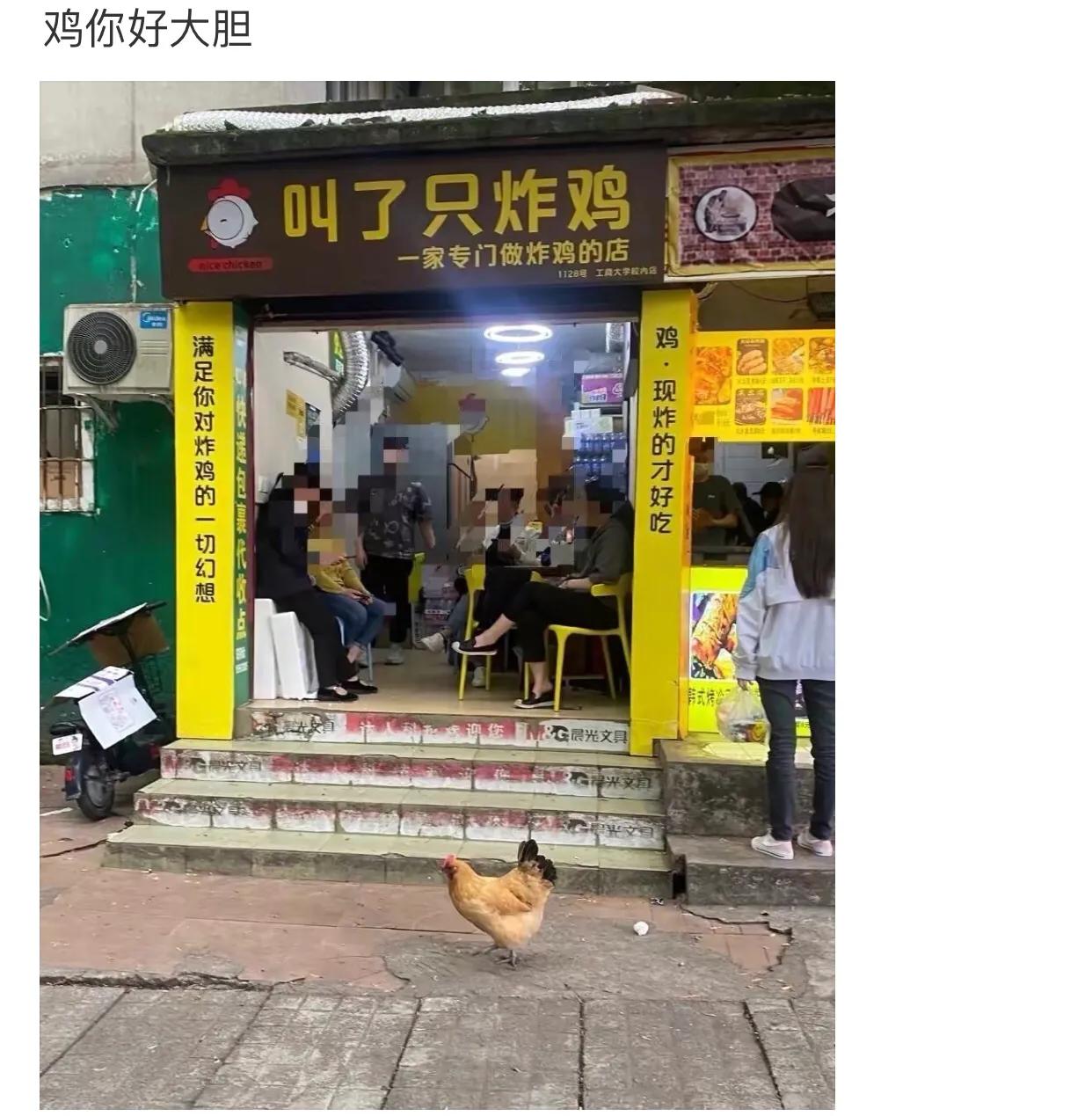 爆笑吐槽侮辱人的智商,盘点侮辱性极强的十大爆笑集锦