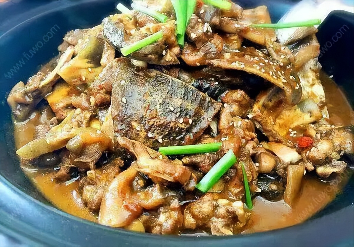 朱虹解读,朱虹讲述