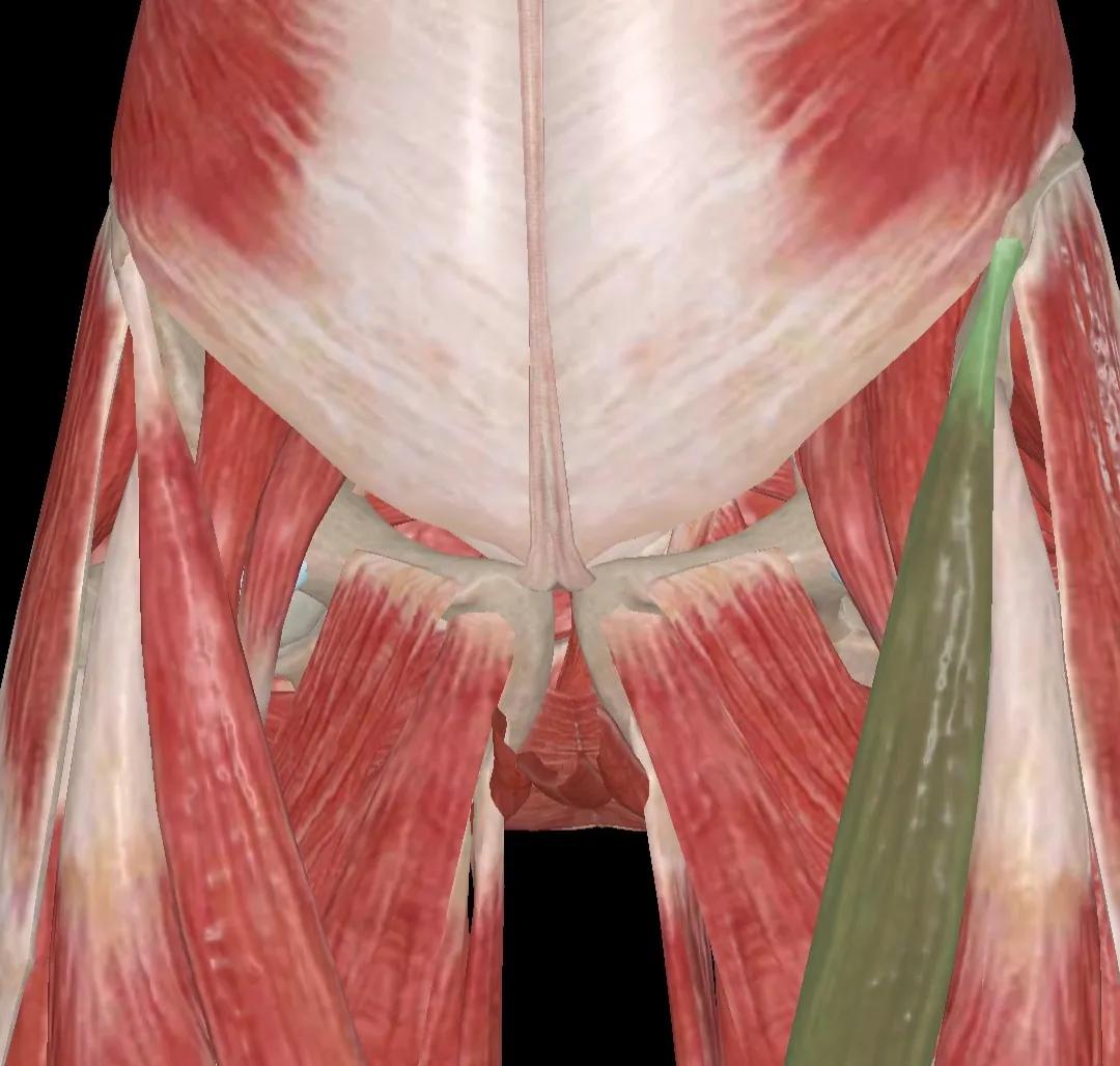 跑完步发现膝盖剧痛怎么办,跑完步为什么腿里有根筋痛