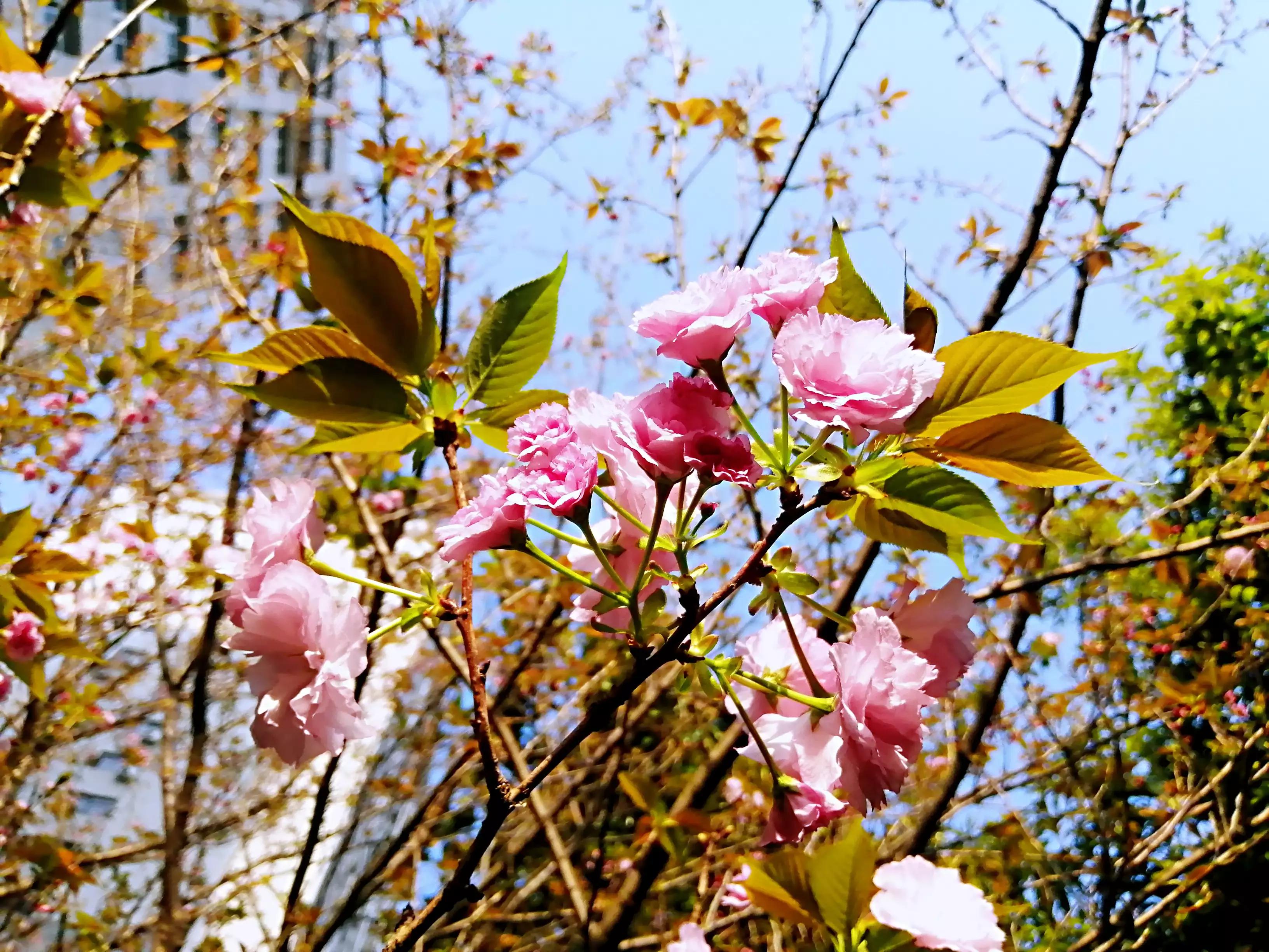 想不通的事情选择放下,想不通的事情暂时放下没事吧