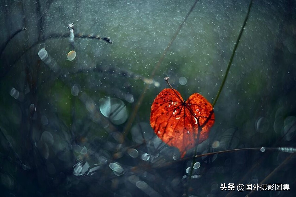 最美的景色秋天照片高清,夏天和秋天的绝美照片