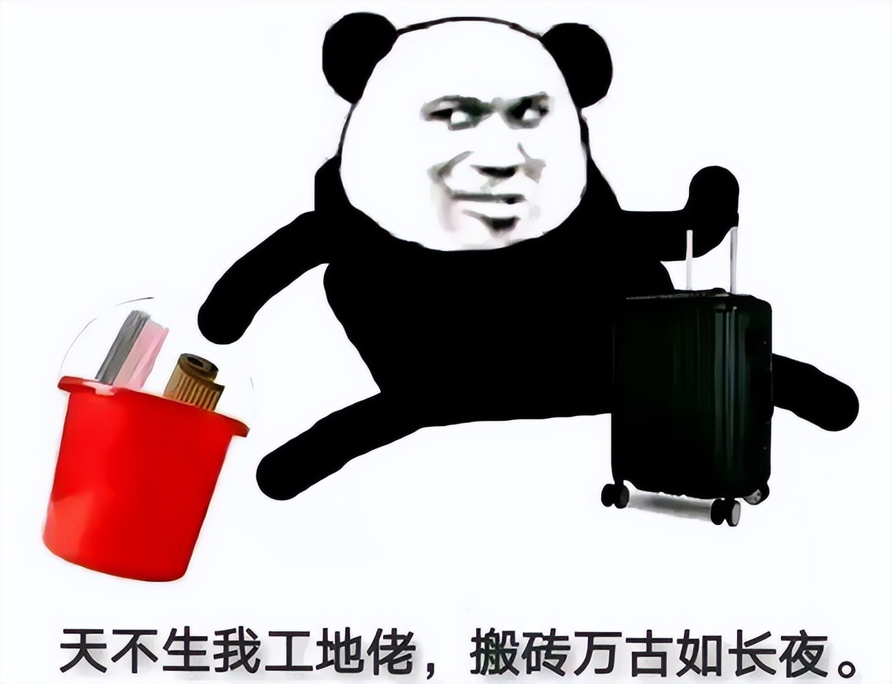 高考冷门专业排名前十名,二本被调剂到冷门专业还有前途吗