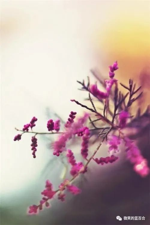 人心知耻,方能善有所为,恶有所止