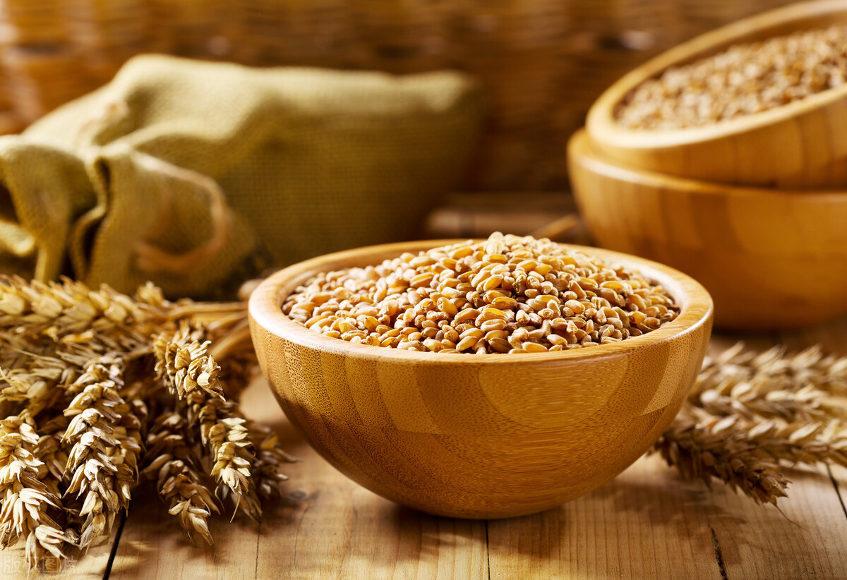 “春打五九尾，家家迈不开腿”，啥意思？2023年立春在五九尾吗？