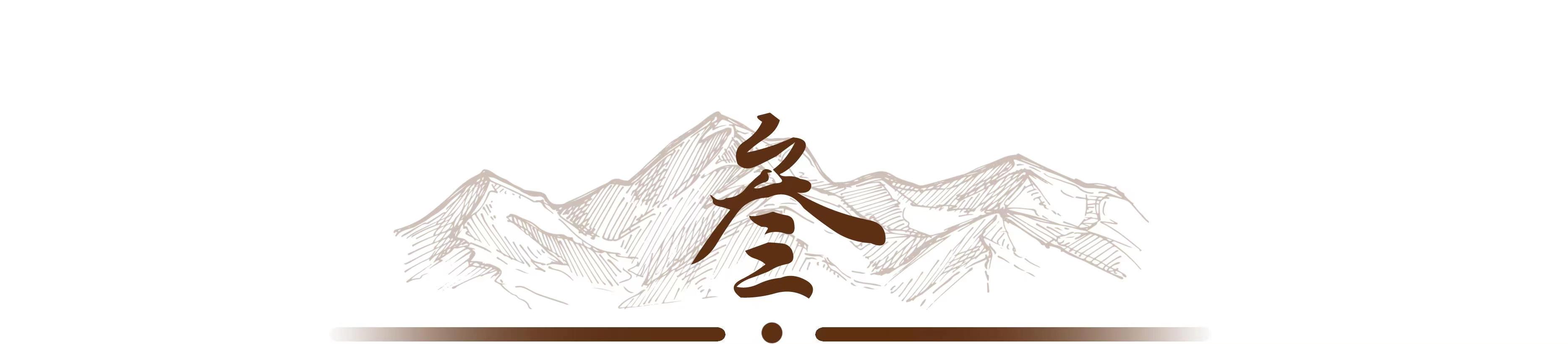 2009年湖南女子生下2斤重小猴子,湖南女子生了个小猴子上综艺节目