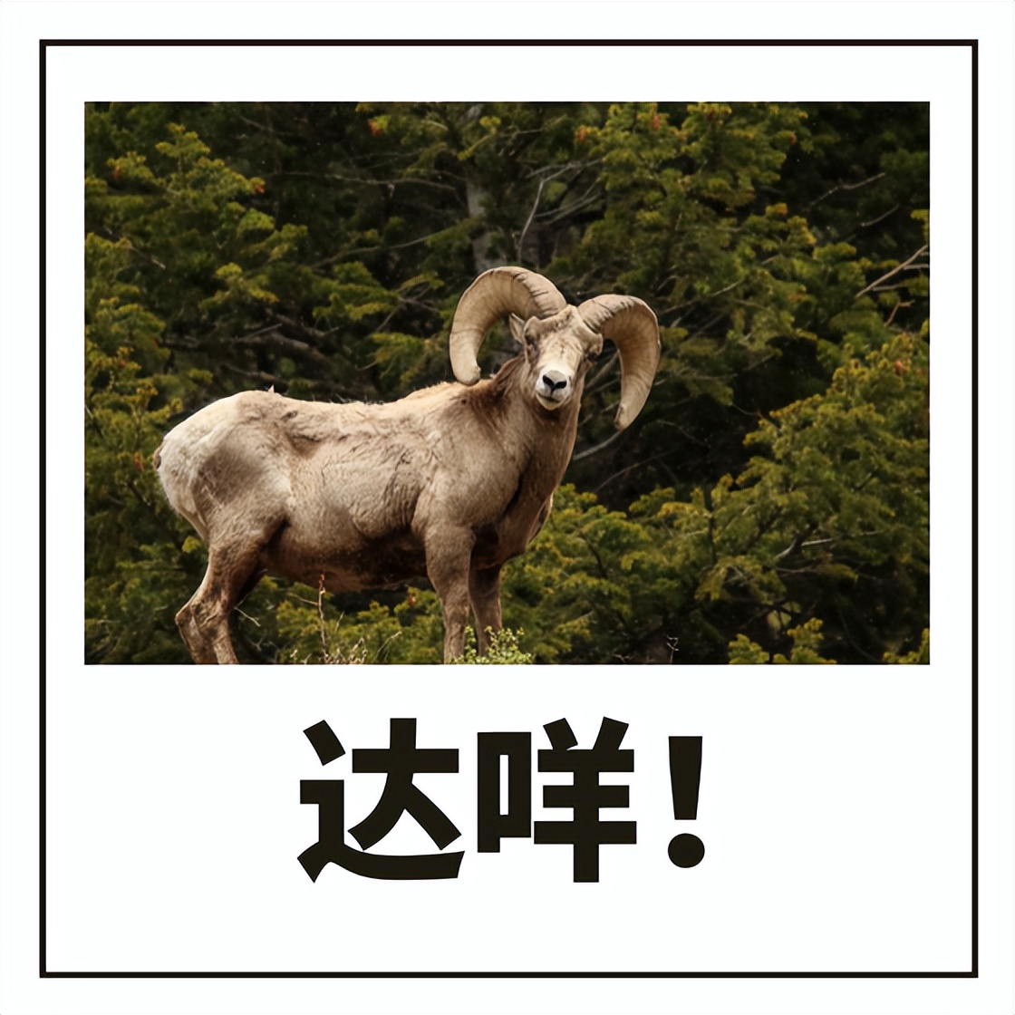 三方协议期间被辞退怎么办,三方协议毕业生违约怎么处理