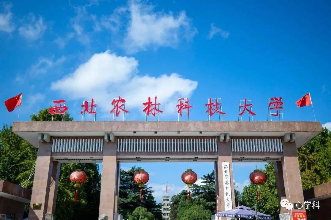 211就业最牛的十所大学,17所大学被称为行业内的黄埔军校