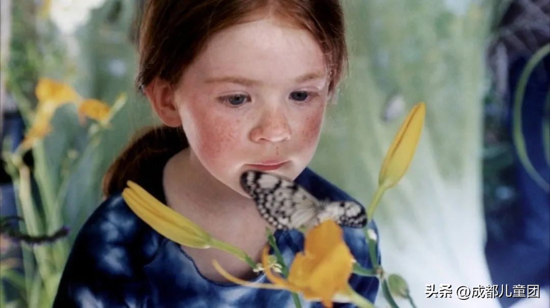 适合重阳节播放的红色电影,适合重阳节给老人家看的电影