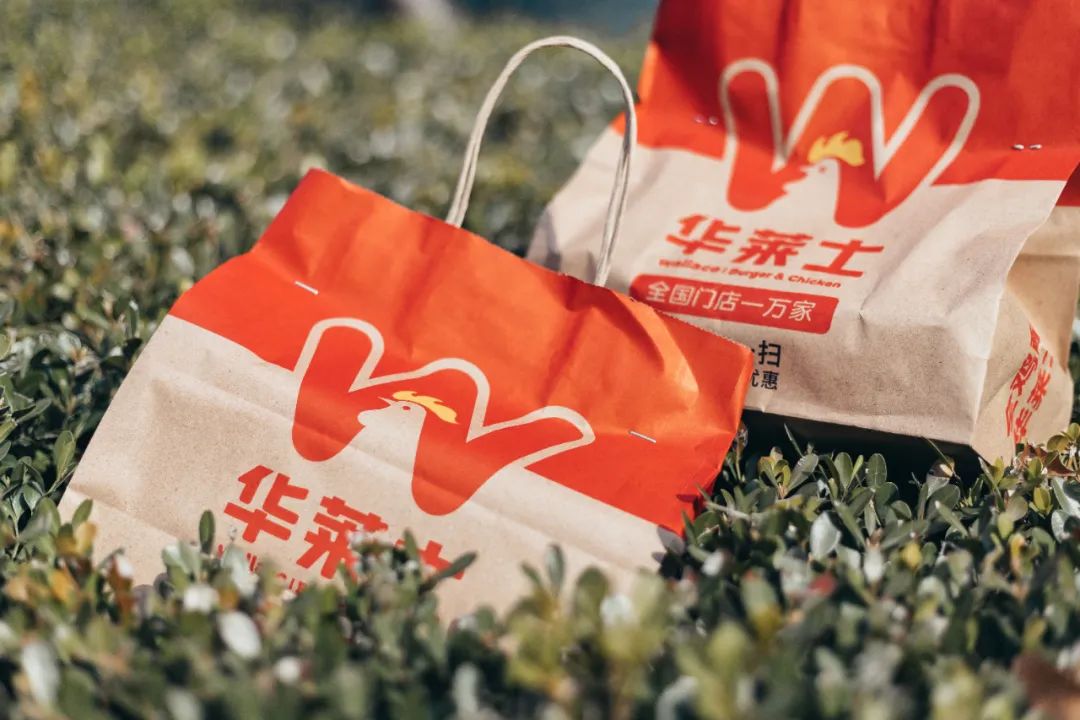 华莱士汉堡炸鸡薯条可乐鸡翅,华莱士为什么只有炸鸡汉堡