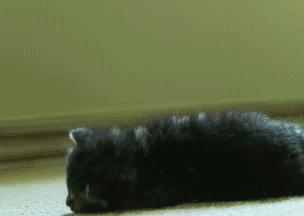 经典沙雕搞笑对话语录,最沙雕的幽默语录