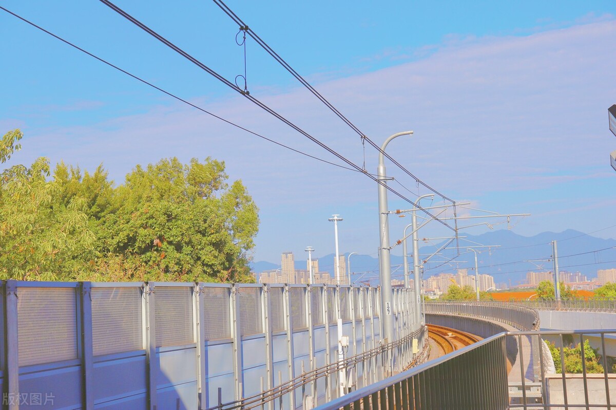 如何评价小狗钱钱这本书,小狗钱钱书中的25条建议