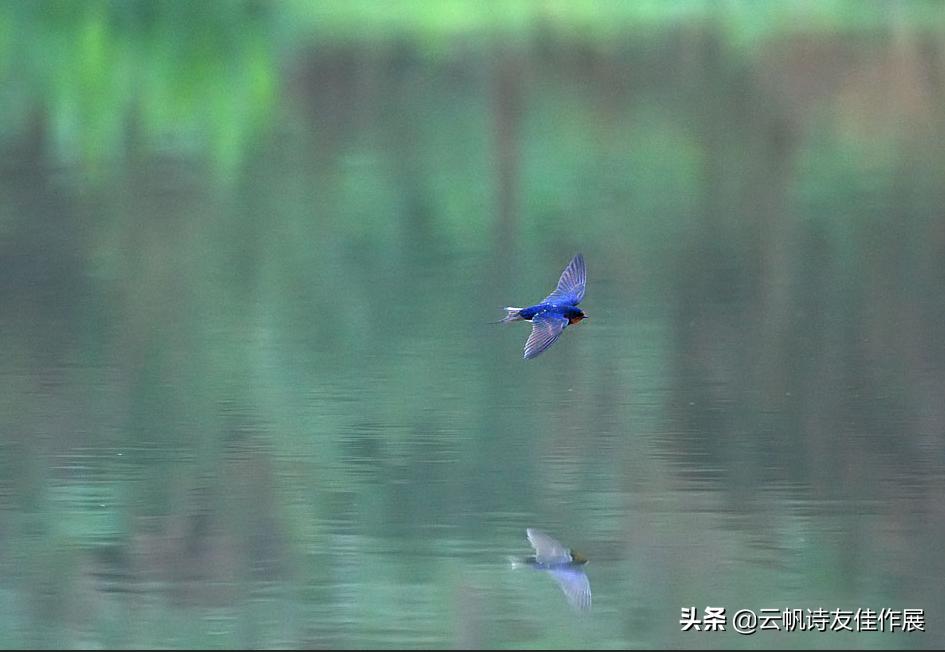 当代诗词平台云帆诗会,云帆诗会2022