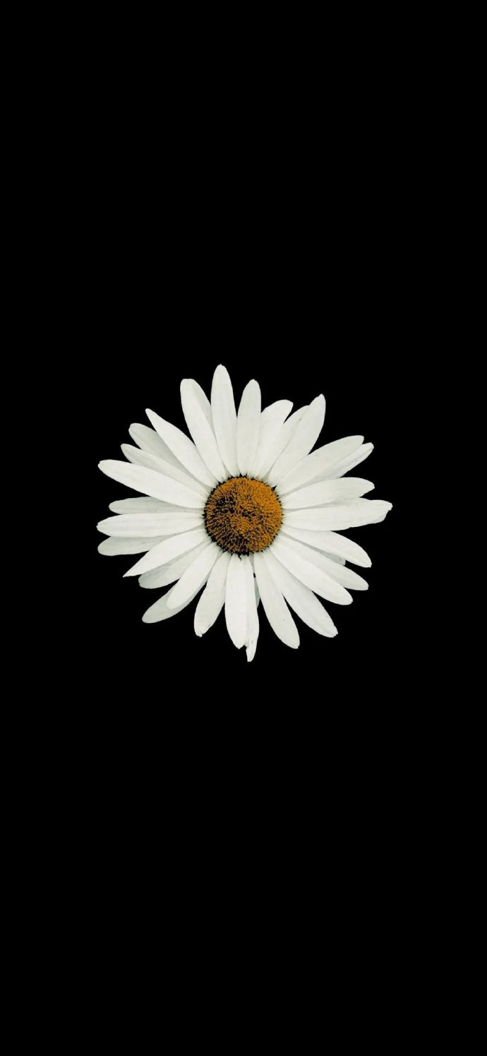 壁纸酷粉,文字壁纸高清锁屏壁纸