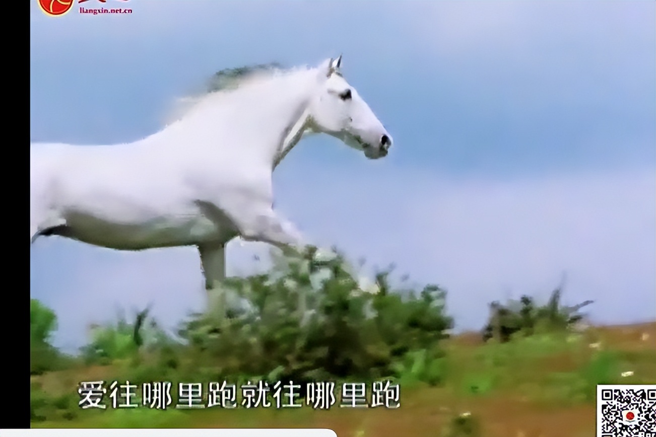 易经的智慧学习笔记阳极成阴09/144讲解曾仕强教授分享给大家