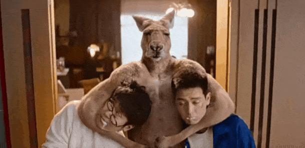 阿凡达不好看为什么票房高,阿凡达票房不及预期