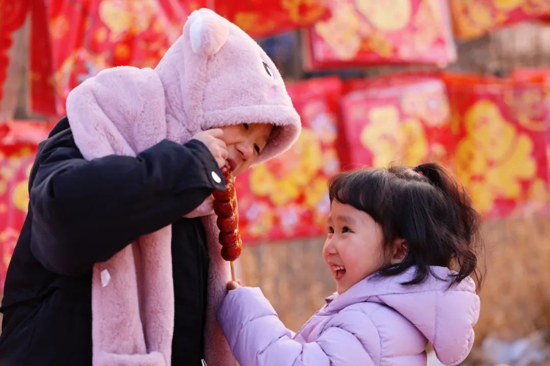 学习宣传党的二十大精神学习方案,学习宣传贯彻党的二十大精神教学