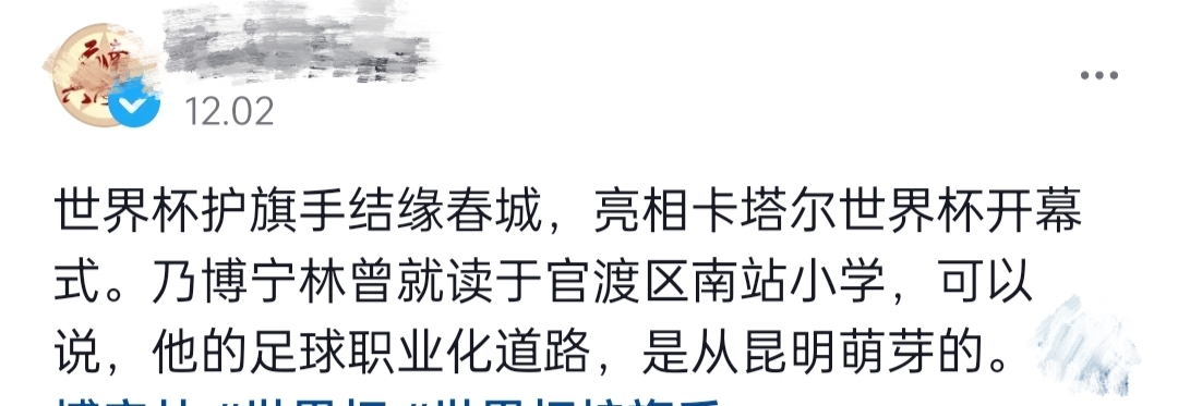 世界杯中国护旗手,世界杯中国云南护旗手