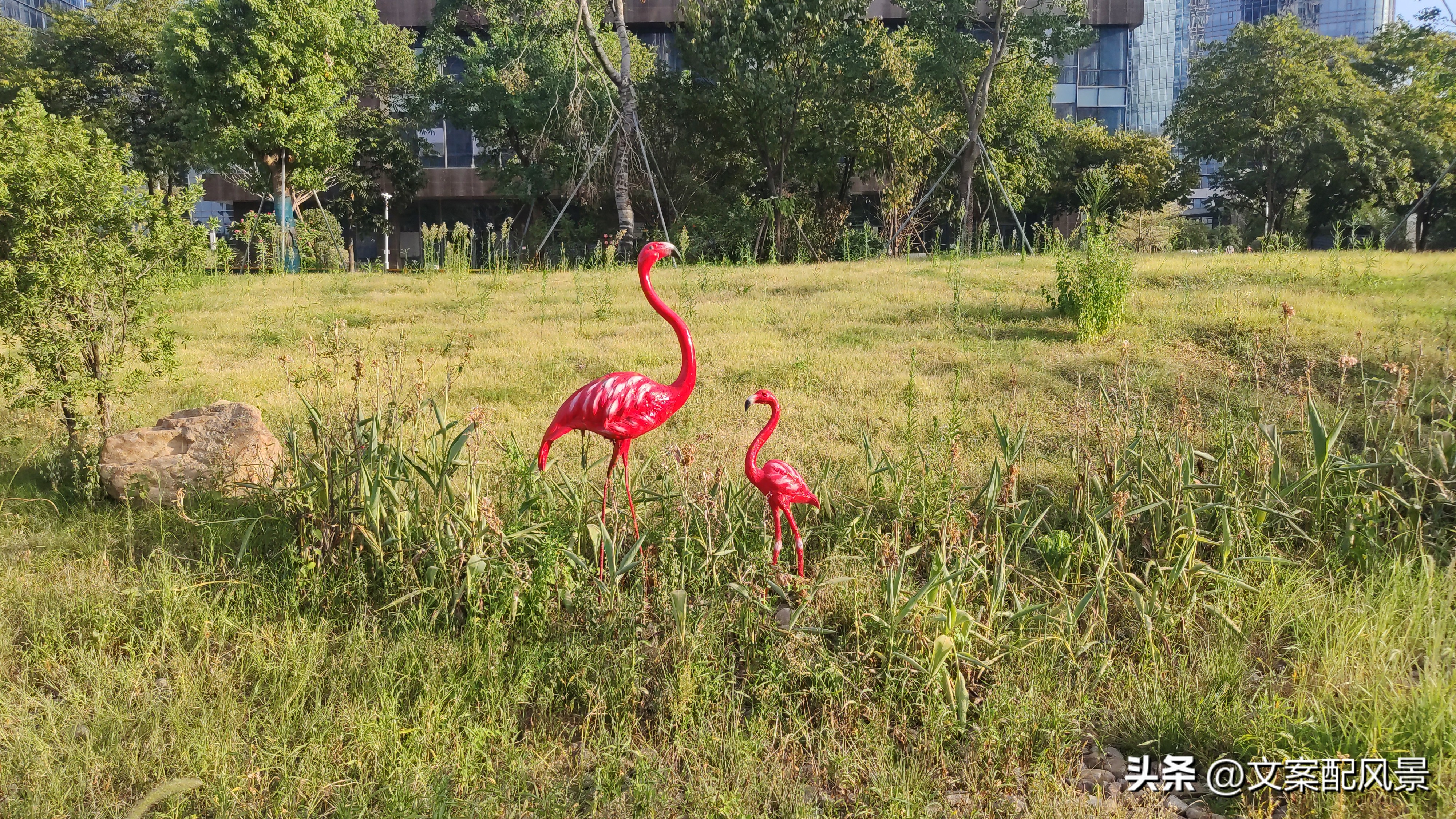 轮船港滨水公园什么时候建好,轮船港滨水公园