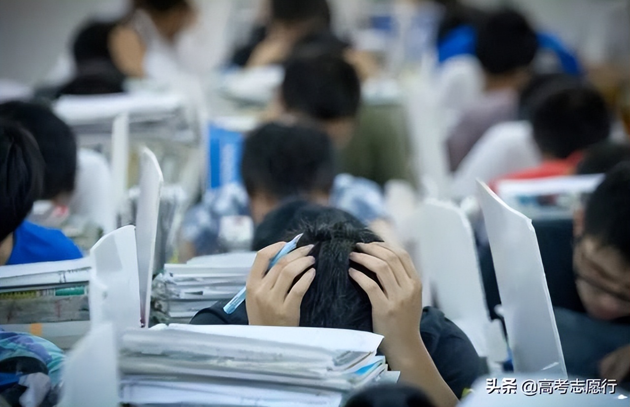 关于职高的最新政策解读,新职业教育法取消职高了吗