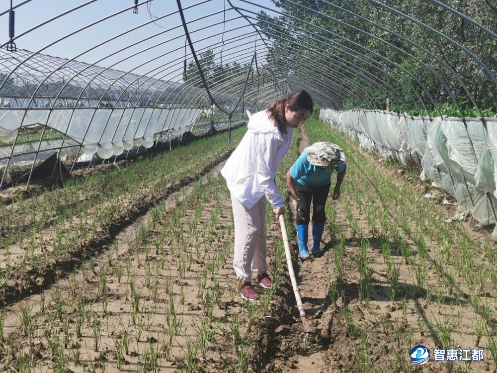江都星创天地科技园,江都区星创天地