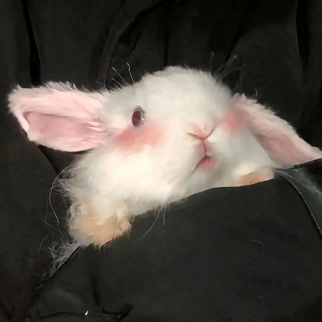 情侣头像来我身边给你温暖,情侣头像我细数时光只为与你相见