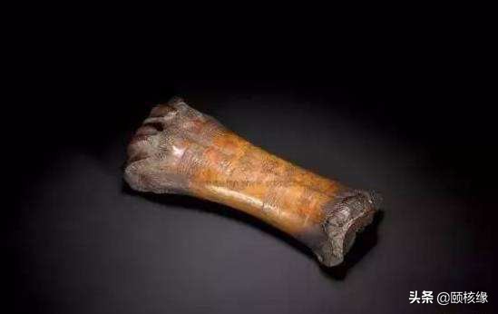 文玩一黑二黄三白,文玩界的一红二黑三白